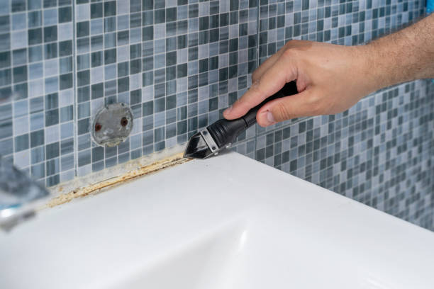 Best Preventive Mold Services in Pine Bluffs, WY
